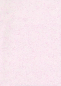 Page 2 of ChuPachepa