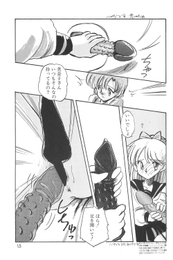 Page 17 of (C48 [Misty Midnight (Shirasaka Biyu)] Bikou (Bishoujo Senshi Sailor Moon)