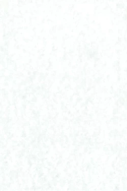 Page 3 of Kokoro no Mukou ni...