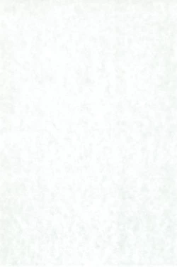 Page 4 of Kokoro no Mukou ni...