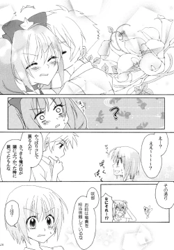 Page 28 of Shugo Senshi Étoile 1