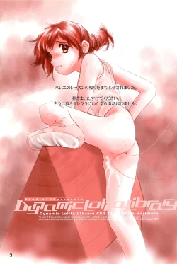 Page 3 of Dynamic Lolita Library CE2.11