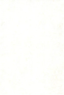 Page 4 of Maverick Markers 1/3