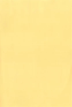 Page 257 of Anekomori