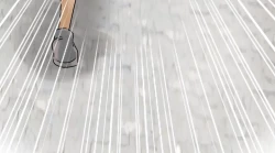 Page 460 of Coach please teach me Ch.1-21