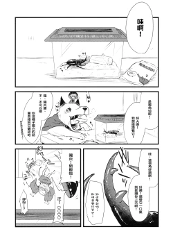 Page 3 of Shinmyoumaru VS Caucasus Ookabuto