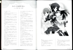 Page 101 of Walkure Romanze Visual Fanbook