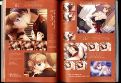 Page 47 of Walkure Romanze Visual Fanbook