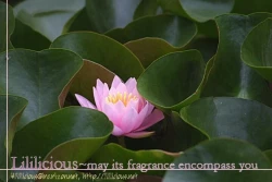 Page 12 of Haru Natsu Aki Fuyu