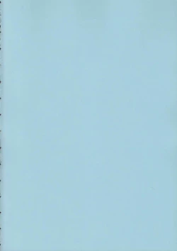 Page 3 of HIWAINARU FANTASY XIII