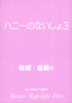 Page 2 of Honey no Naisho 3