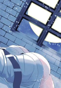 Page 2 of Tsukiakari no Yoru | A Night Within the Moonlight