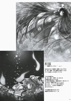 Page 5 of Touhou hon 2