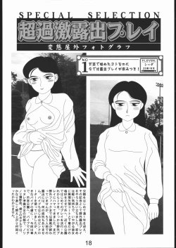 Page 17 of gekishatoukou zeturin