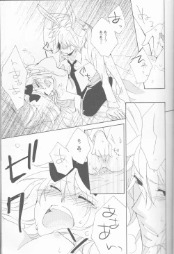 Page 13 of liberator