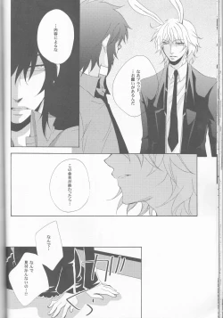 Page 26 of liberator