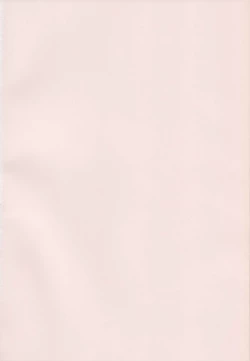 Page 12 of Imouto no Ana