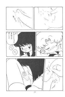 Page 39 of Kousagi Hotaru-hime