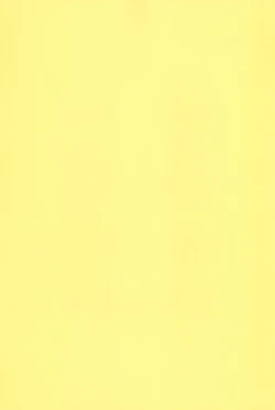 Page 29 of Saikyou! Hachimitsu Shoujo