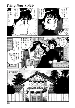 Page 21 of Wingding Party