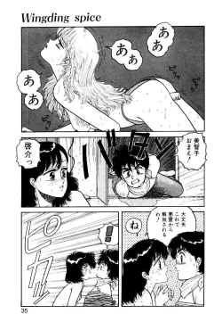 Page 33 of Wingding Party