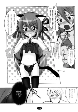 Page 23 of Shiryou Himoesho Necronomoebon