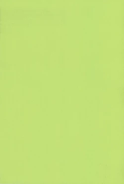 Page 21 of Bandaikko