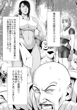 Page 2 of Sanzoku VS Elf KishiZenpen
