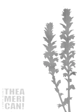 Page 2 of CUTE GIRL! THE AMERICAN!