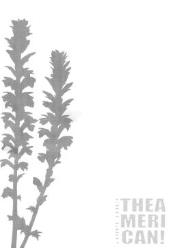 Page 3 of CUTE GIRL! THE AMERICAN!