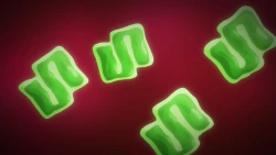 Page 17 of Brown Princess