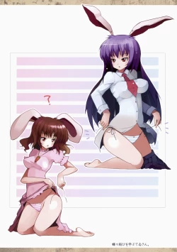 Page 15 of Touhou Mougaroku