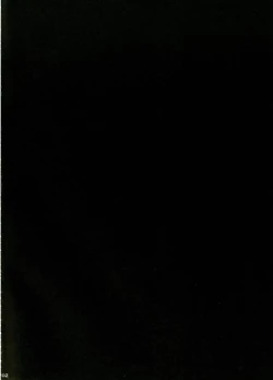 Page 3 of Usa Work vol. 03