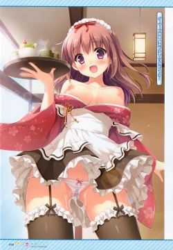 Page 21 of Amakoi Syrups Visual Fan Book