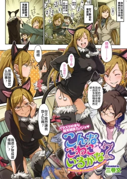 Page 1 of Konna Koneko Irukana!?