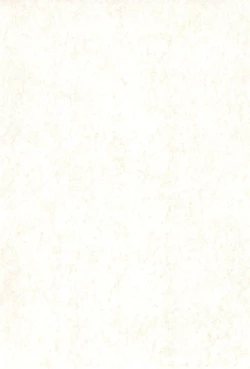 Page 4 of Orange Album