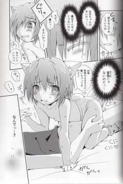 Page 13 of Nokkarization