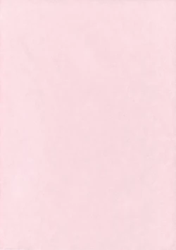 Page 3 of Kyou no Destiny Record