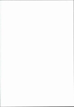 Page 2 of Oidemase!! Jiyuu Fuuzoku Gensoukyou 2kka no Tabi Minaduki