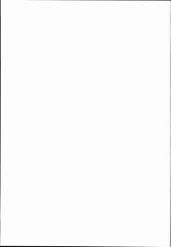 Page 31 of Oidemase!! Jiyuu Fuuzoku Gensoukyou 2kka no Tabi Minaduki