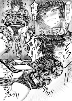 Page 11 of Shadowverse no Hon