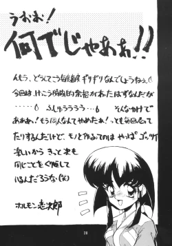 Page 29 of Sokkyuuou