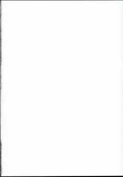 Page 2 of Mesu Miko Reimu-chan