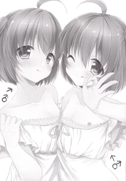 Page 2 of Gemini Trap