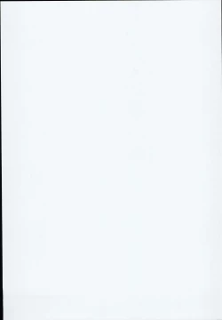 Page 29 of Jougasaki Shimai no Itazura na Yume