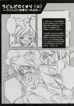 Page 13 of Udonge no Shippo