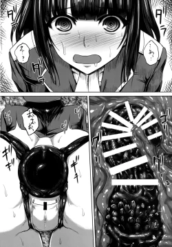 Page 13 of Watashi wa "Kore" o Oshiri ni Iremashita.