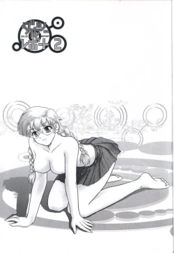 Page 2 of Dulce Report 2 | 达西报告 2