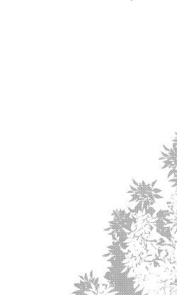 Page 25 of Ane Naru Mono 2