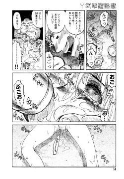 Page 13 of Y Shiki Kaitai Shinsho